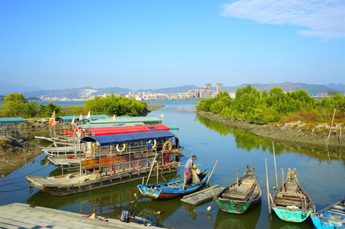 2017年廣東社保聯網又近了,證書掛靠會受影響嗎 http news.fengpintech.com ueditor php upload image 20170316 1489629589861886.png 保定市建筑科技教育中心