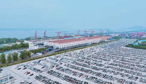 奇瑞銷量遙遙領(lǐng)先,全靠價格便宜 大錯特錯