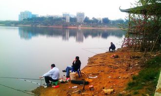 夏釣大型水庫,四個(gè)關(guān)鍵點(diǎn)要記住
