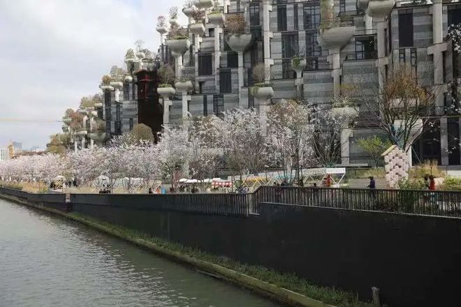 近30家首店、魔都唯一山型購物中心,天安千樹正式開業!
